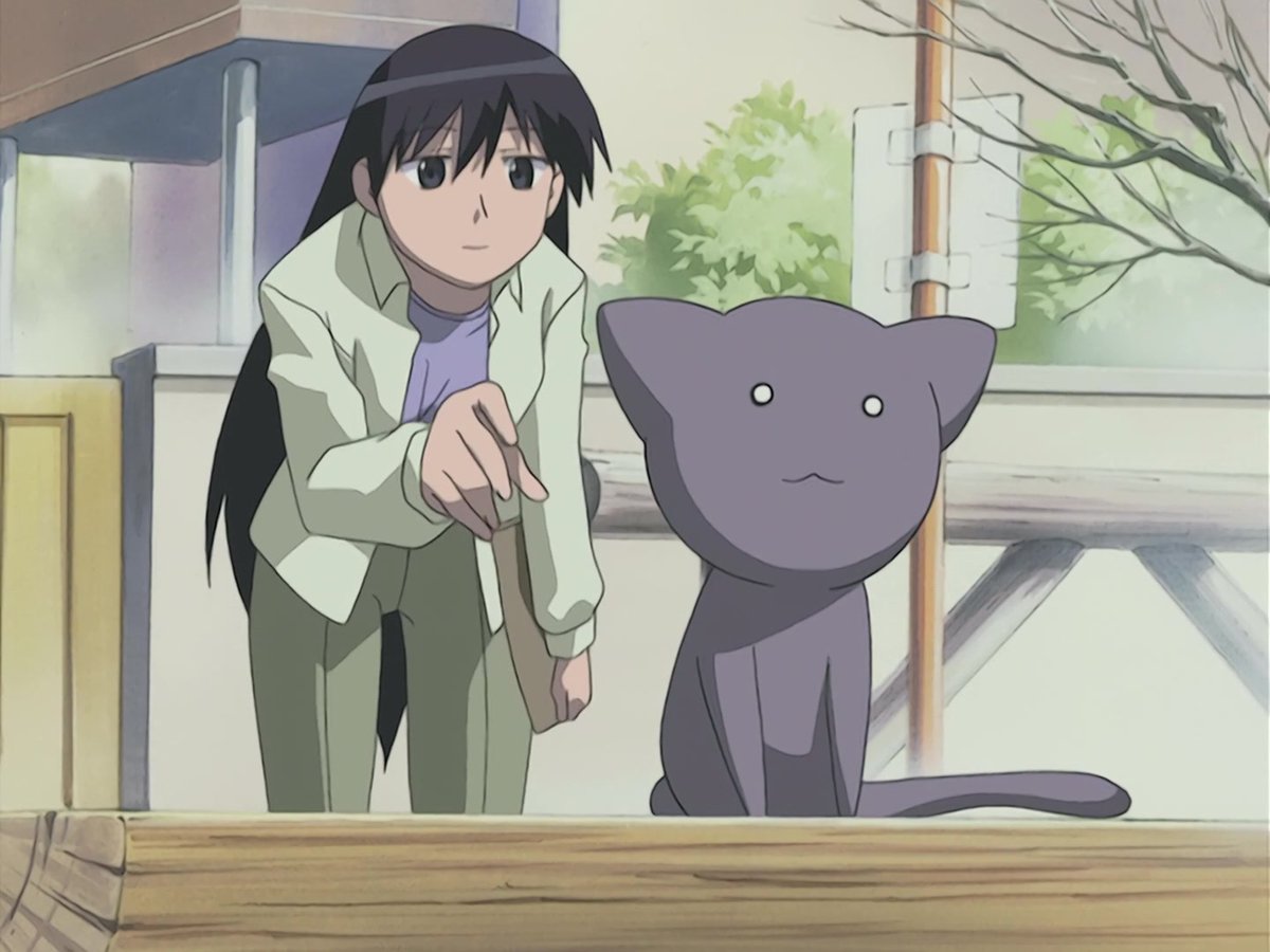 Una mujer acercandose a un gato.