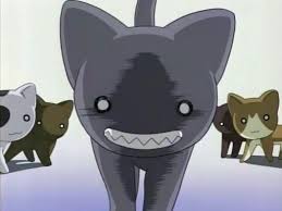 Gato tetrico viendo al frente.